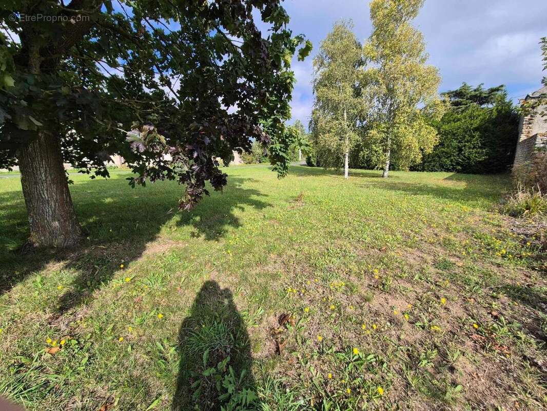 Photo 4 - Terrain à COURCELLES