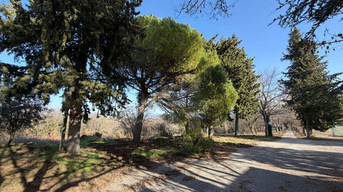 Appartement à NIOZELLES