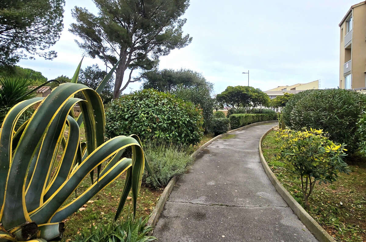 Appartement à SETE