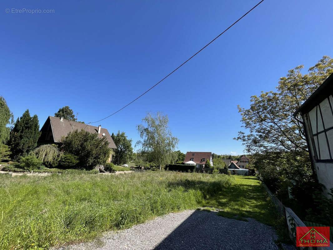 Terrain à BERENTZWILLER