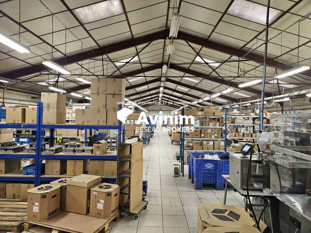 Commerce à SAINT-TRIVIER-DE-COURTES