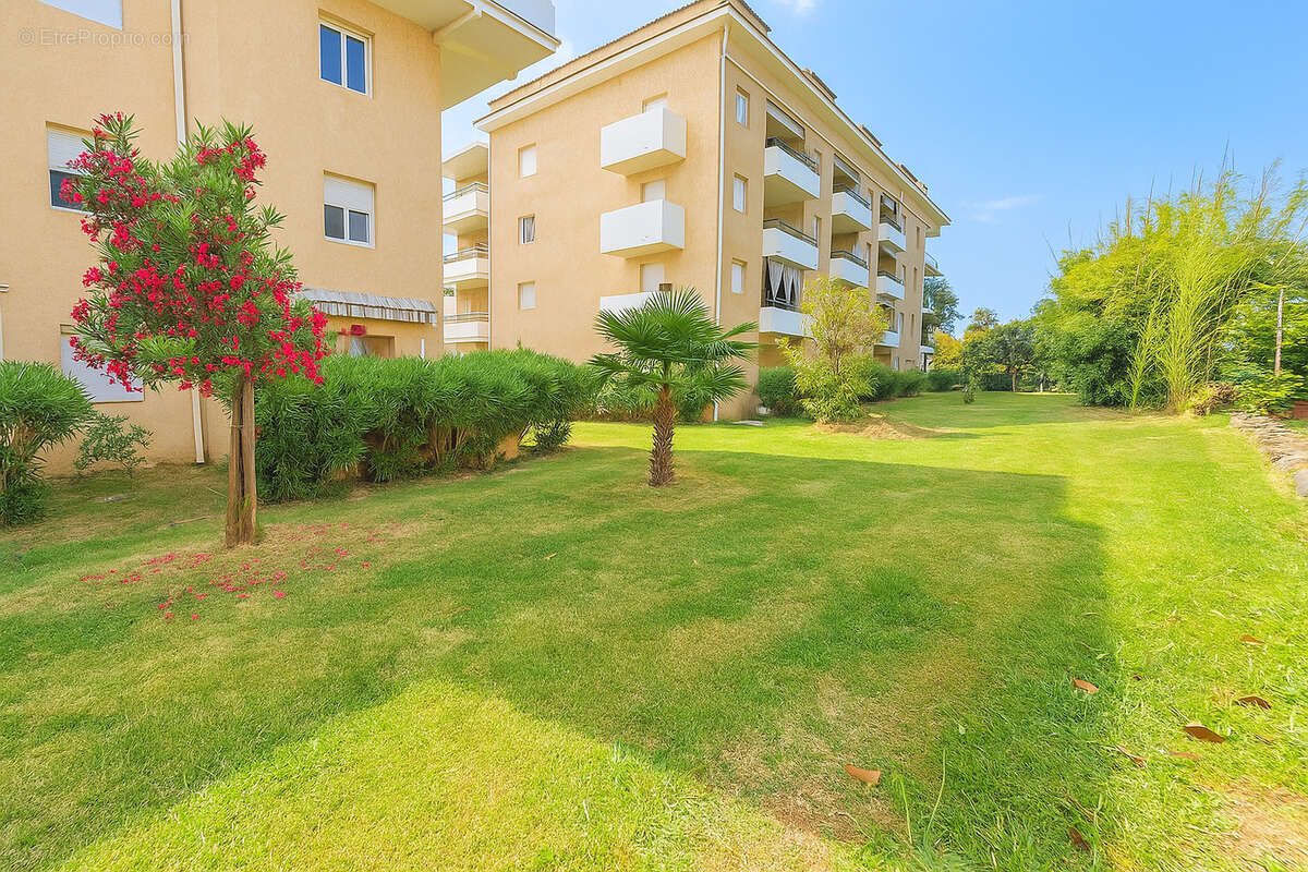 Appartement à SAN-NICOLAO