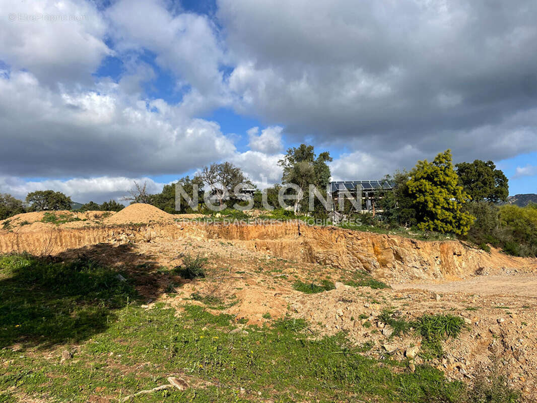 Terrain à ZONZA