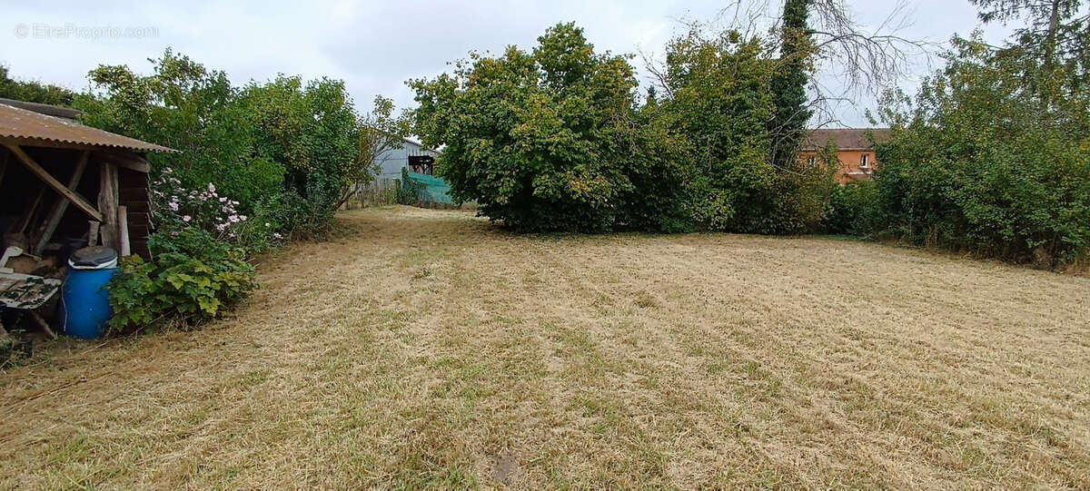 Terrain à DEMUIN