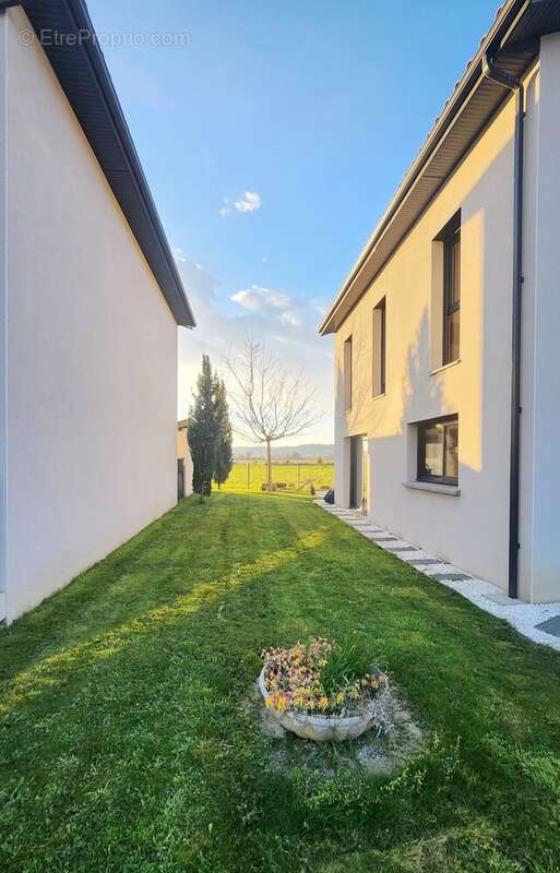 Maison à THIL