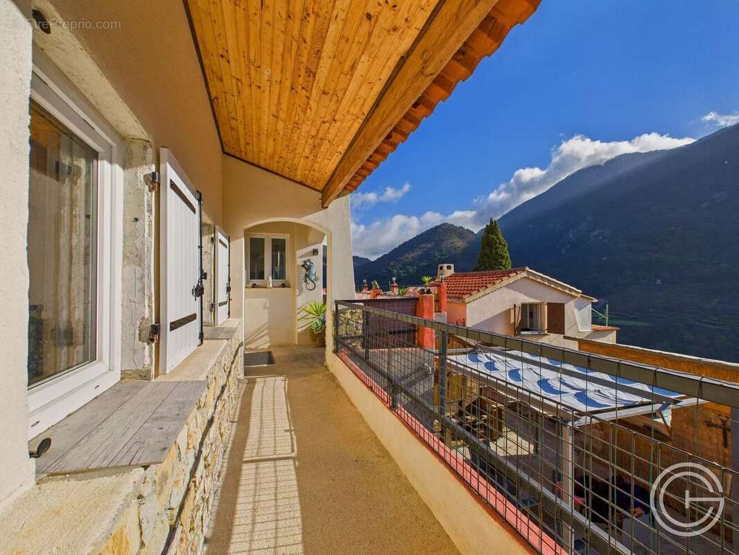 Propriété avec deux maisons et studio – 7 500 m² de terrain - route de l'Escarène - PEILLE - photo 4