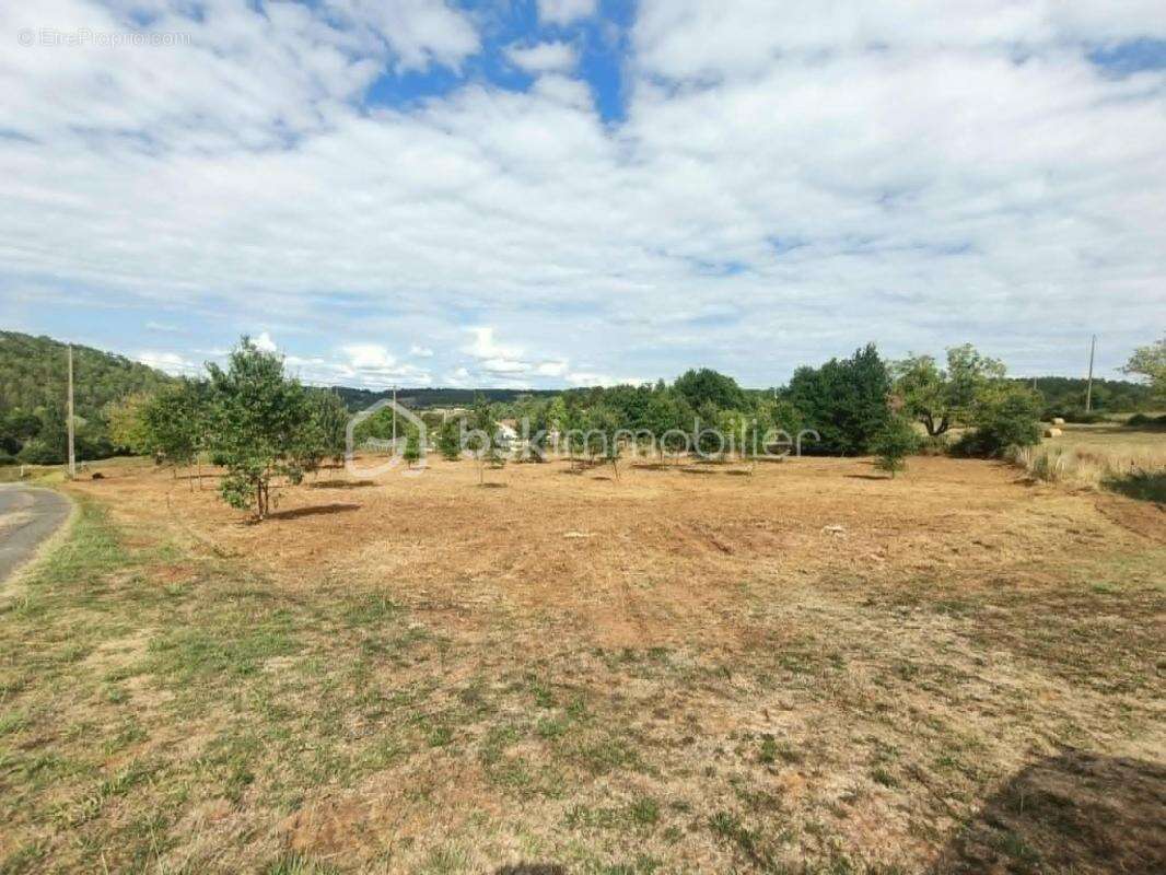 Très beau terrain pratiquement plat de 5 771 m2 constructible avec CU en cours de validité, situé en Périgord Noir à Larzac 2417 - photo 4