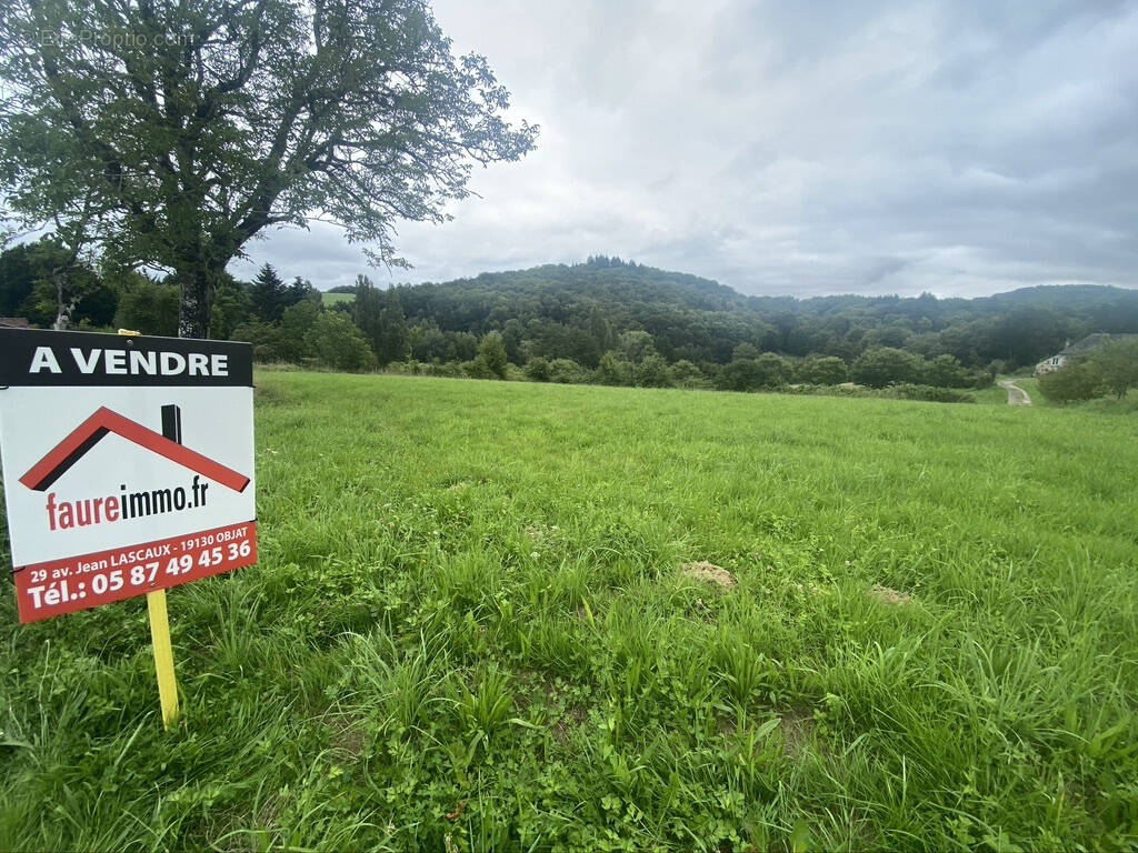 Terrain à ORGNAC-SUR-VEZERE