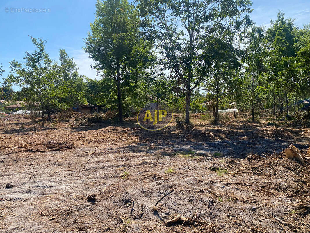 Lotissement de 8 lots /1,5 km du Lac - photo 5