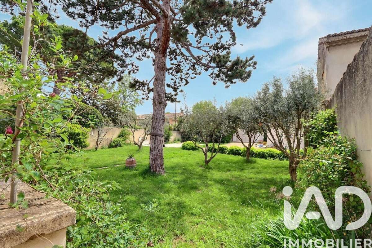 Photo 8 - Maison à SORGUES