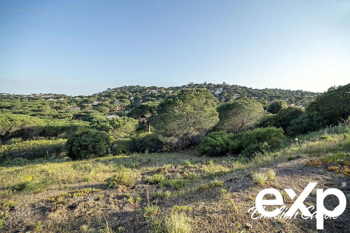 Terrain à SAINTE-MAXIME