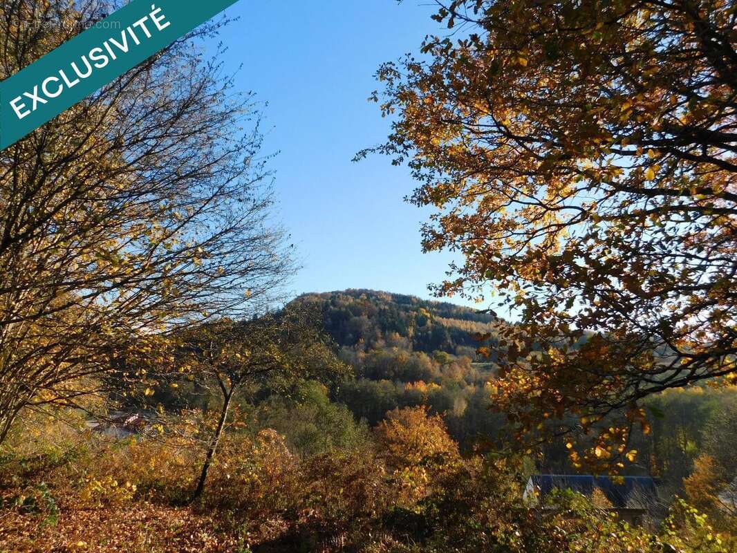 Photo 7 - Terrain à SENONES