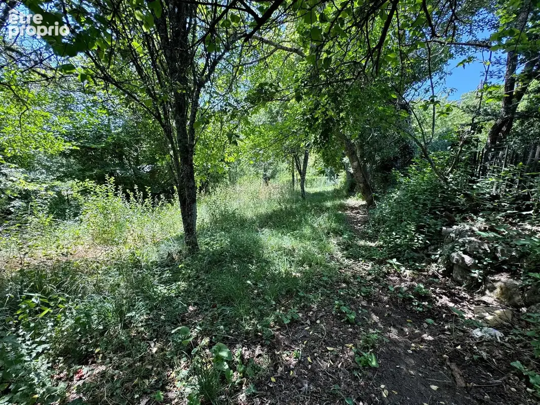 Maison 64 m² à Castellane  - photo 5
