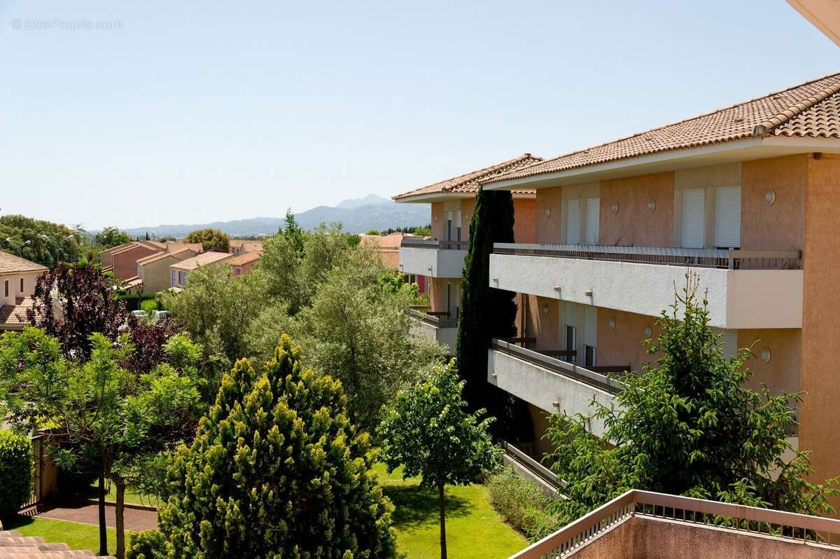 INVESTISSEMENT LOCATIF  BORGO  Résidence EHPAD Sainte-Dévote - 6,51 % de rentabilité - photo 9