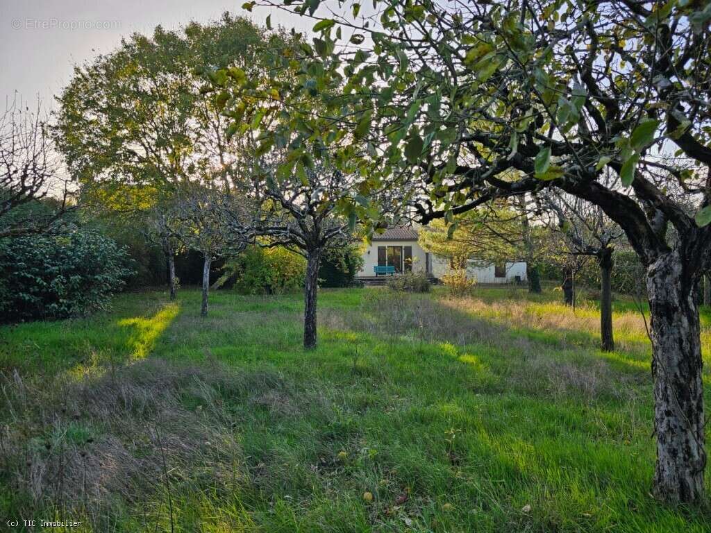 Maison à VERTEUIL-SUR-CHARENTE