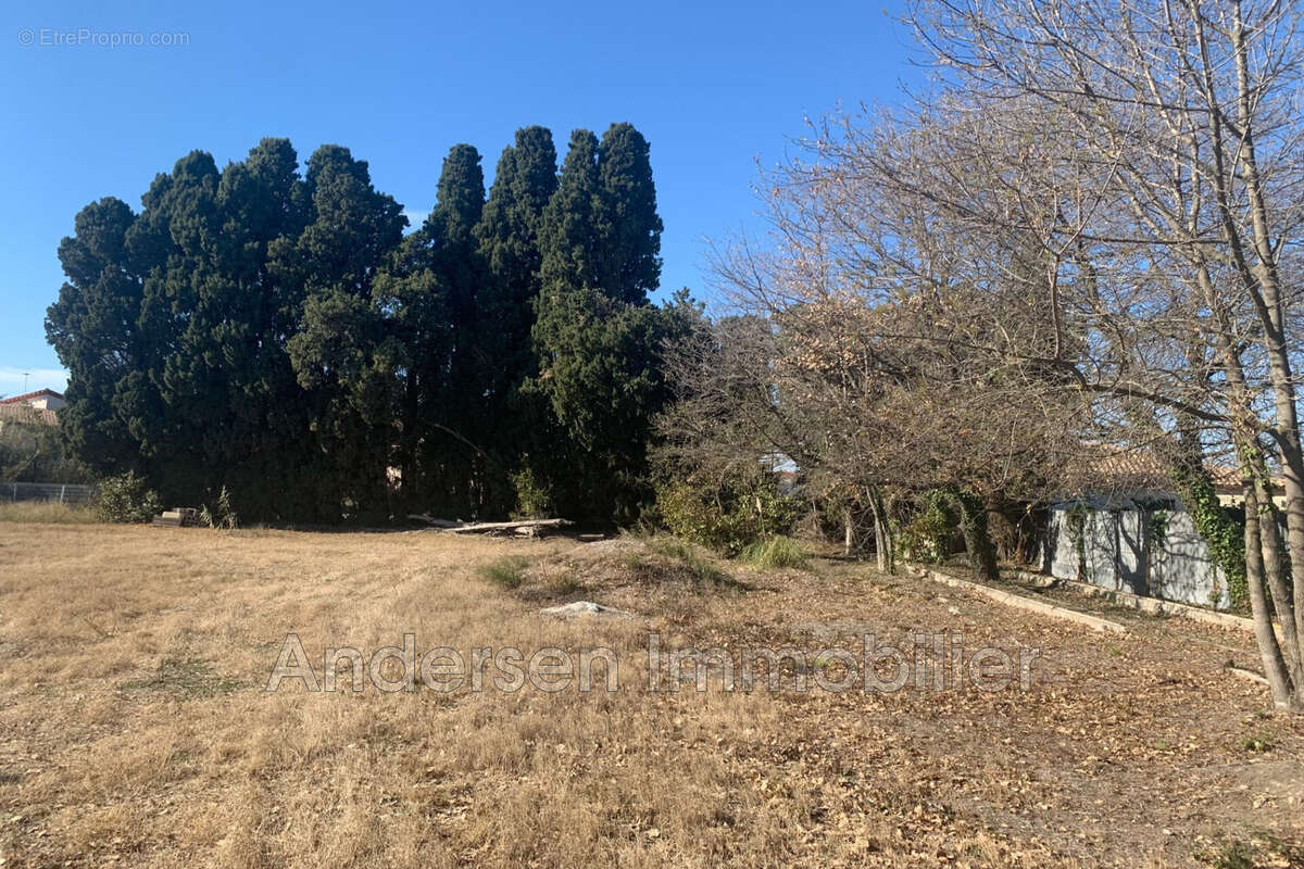 Terrain à PALAU-DEL-VIDRE