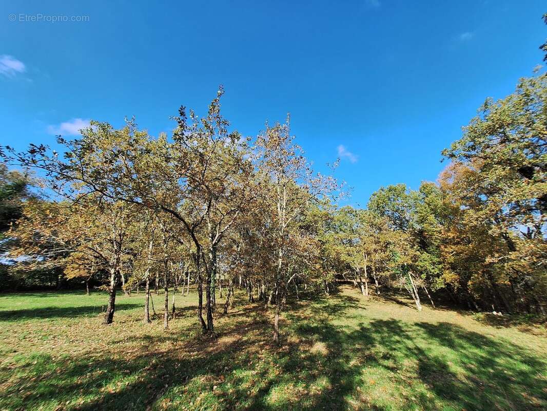 Maison à BAGAT-EN-QUERCY