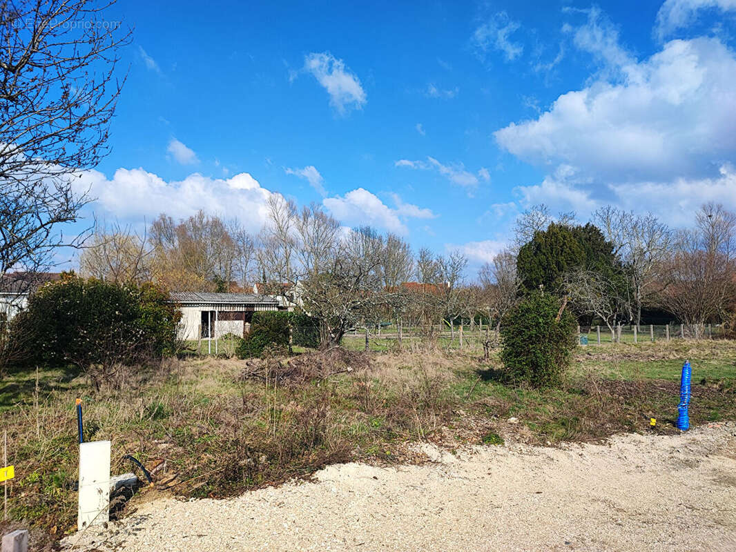 Terrain à SAINT-JEAN-DE-BRAYE