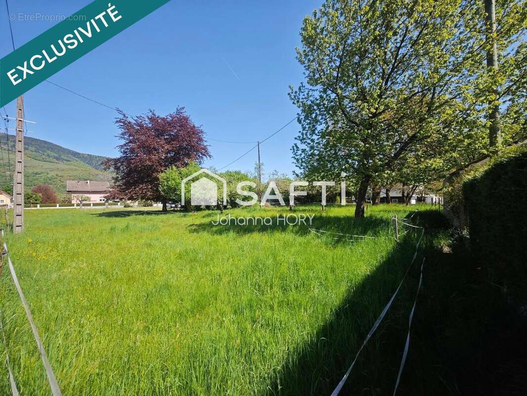 Photo 3 - Terrain à FELLERING