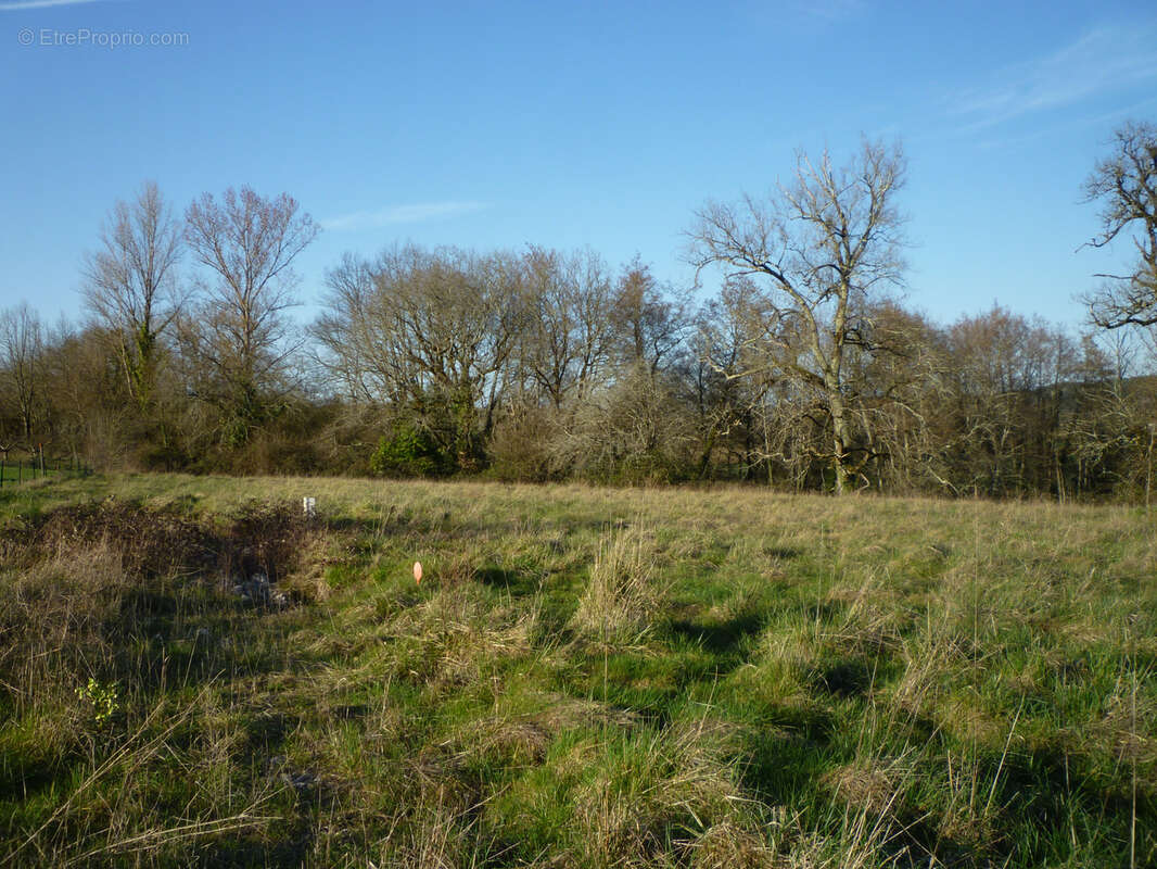 Terrain plat a batir - monsempron libos - photo 2