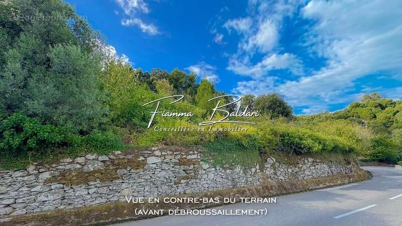 À vendre Terrain 750m², Canaja, Campile, Haute-Corse (20) - photo 5