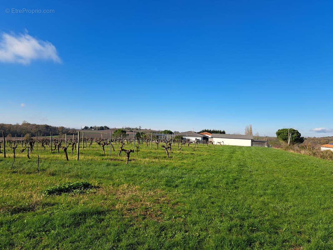 Terrain à SAINT-MACAIRE
