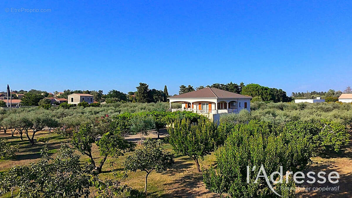 LUCCIANA  - propriété familiale de 202 m² au coeur d'une oliveraie - photo 16