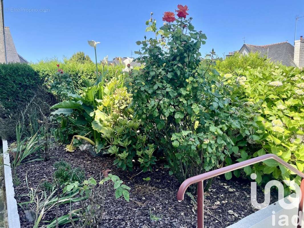 Photo 4 - Maison à PONT-DE-BUIS-LES-QUIMERCH