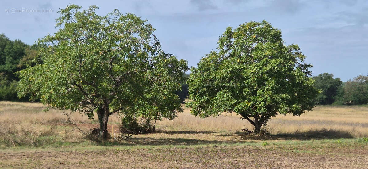 Terrain à MAREUIL-SUR-CHER