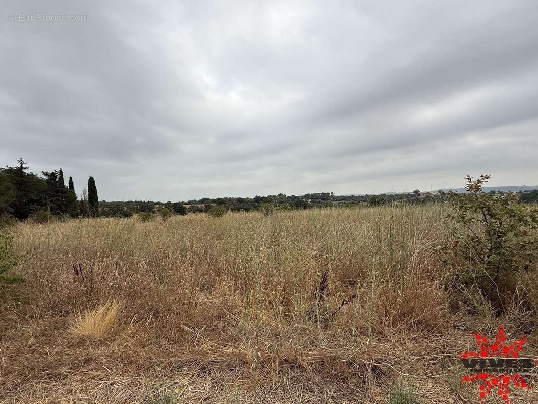 Terrain agricole ou de loisirs - photo 2