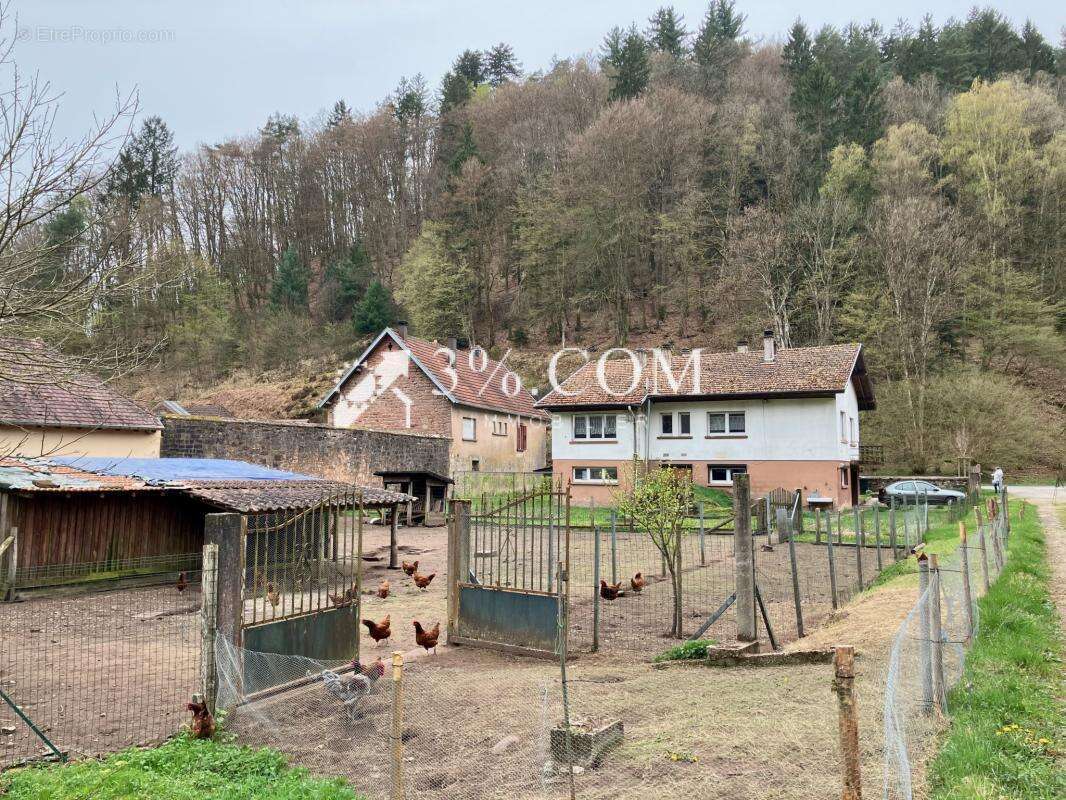 Maison à STURZELBRONN