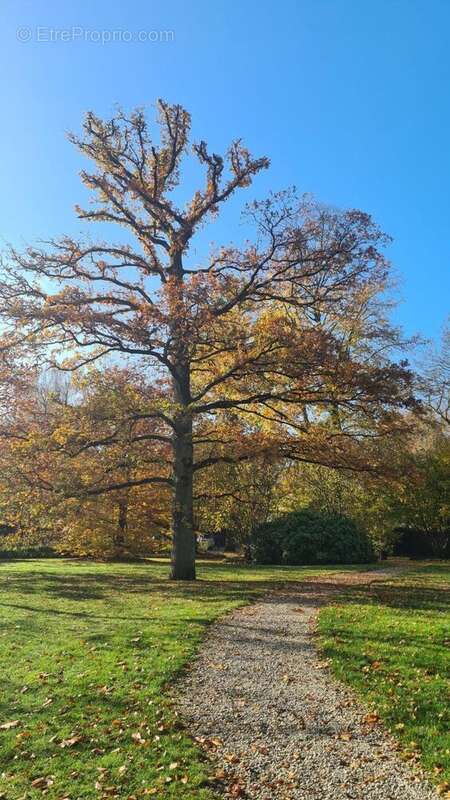 Photo 8 - Maison à CROIX