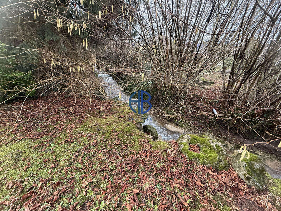 Maison avec dépendances sur 900 m2 de terrain - photo 3