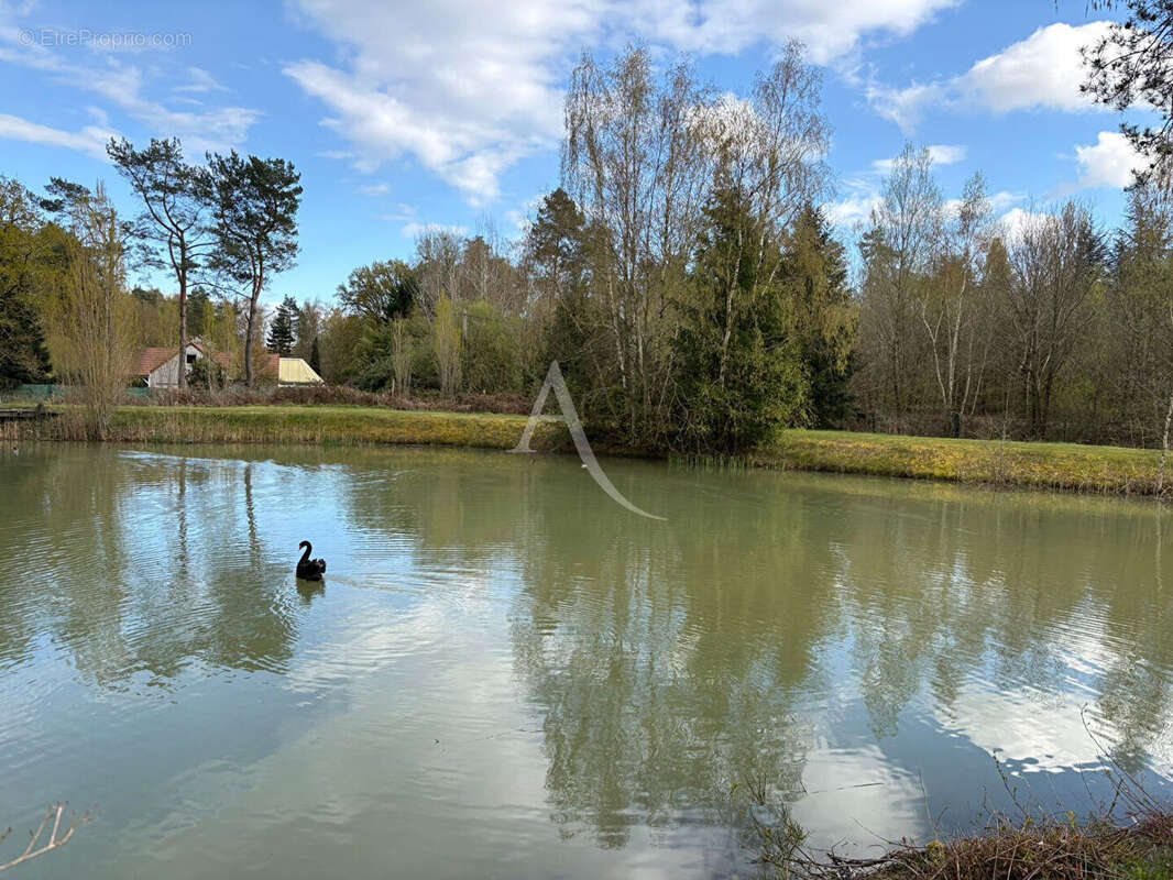 Propriété / 7 ha / plan d'eau/ dépendances - photo 16