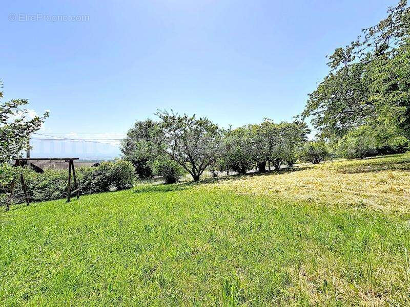 Terrain_constructible_bonne_proche_frontière_Suisse_Genève_ - Terrain à BONNE