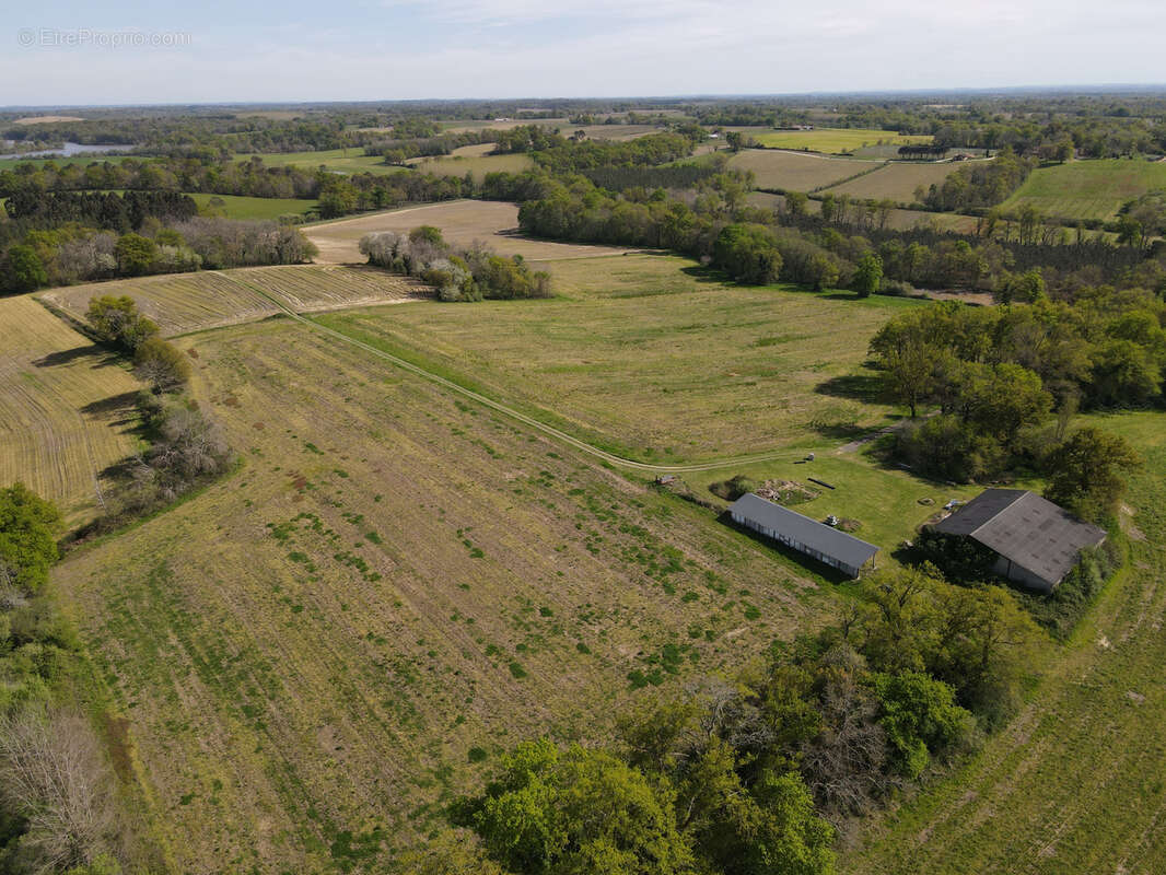 Maison à LABASTIDE-D'ARMAGNAC