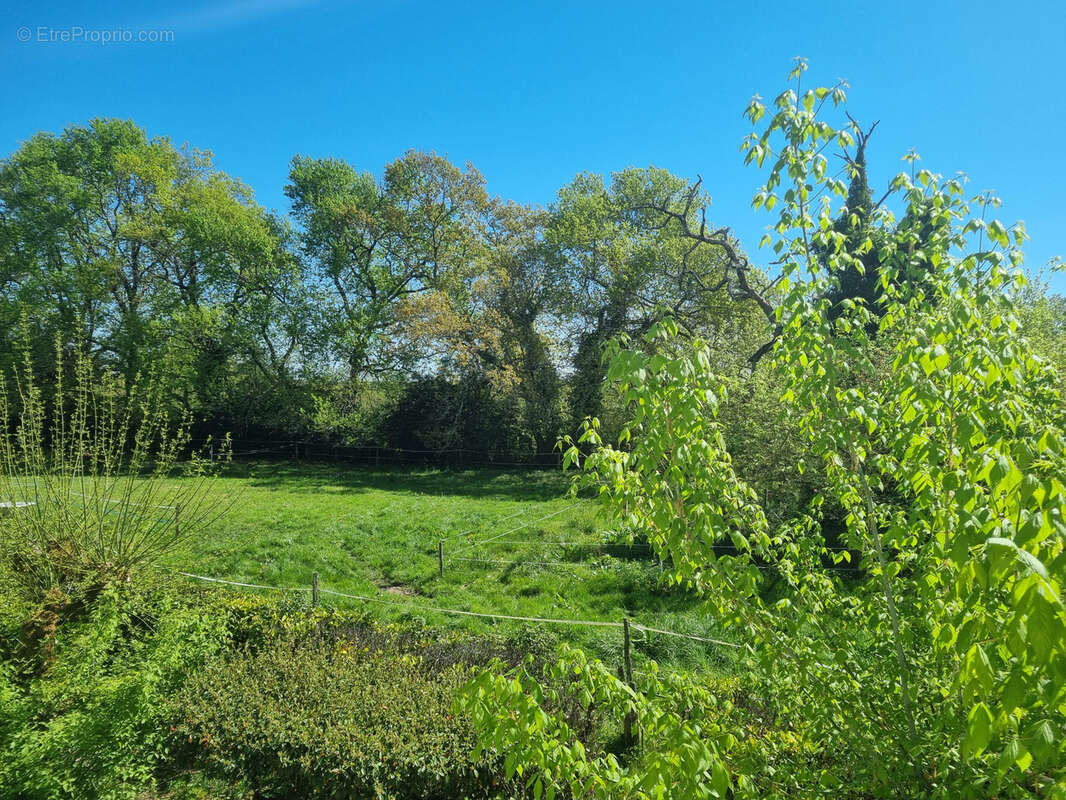 Maison de campagne - photo 3