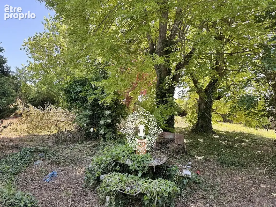 Entre Bray sur Seine et Nogent sur Seine - photo 18