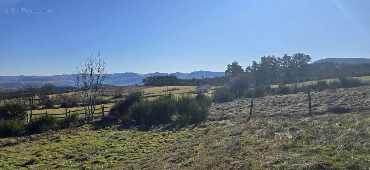 Terrain à SOLIGNAC-SOUS-ROCHE