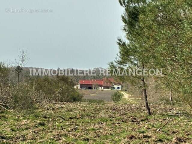 Maison à LAMOTTE-BEUVRON