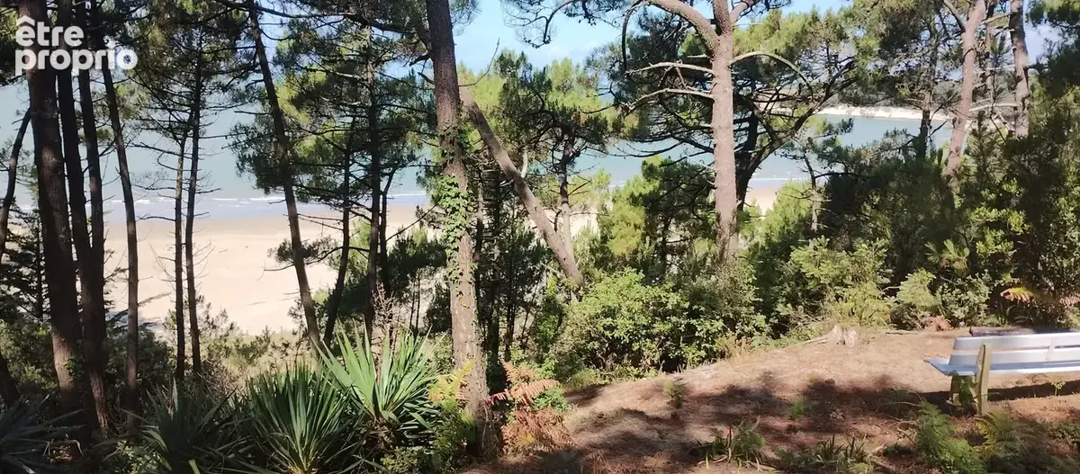 Maison à MESCHERS-SUR-GIRONDE