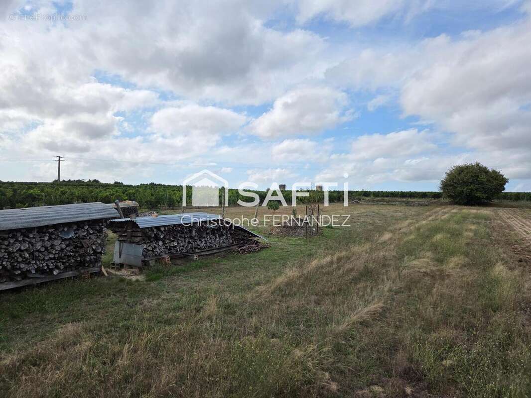Photo 2 - Maison à REIGNAC