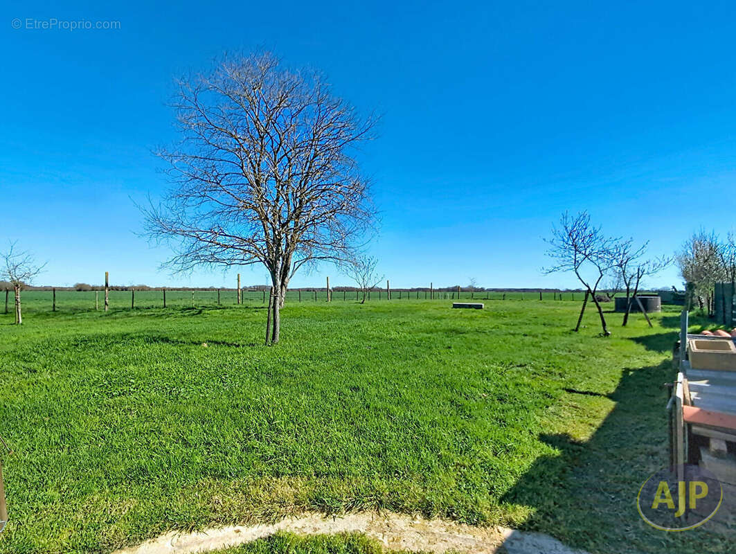 Maison à VIEILLEVIGNE