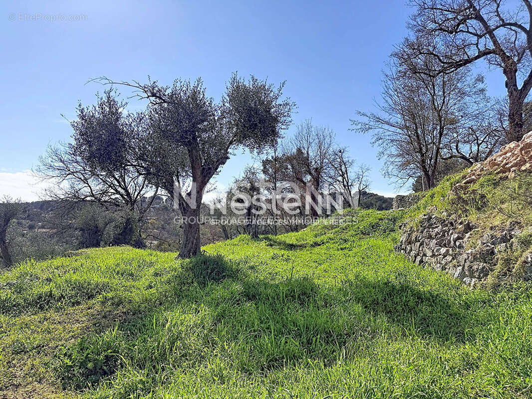 Terrain constructible 1788m2 - exposé plein sud - Roquefort les pins - photo 4