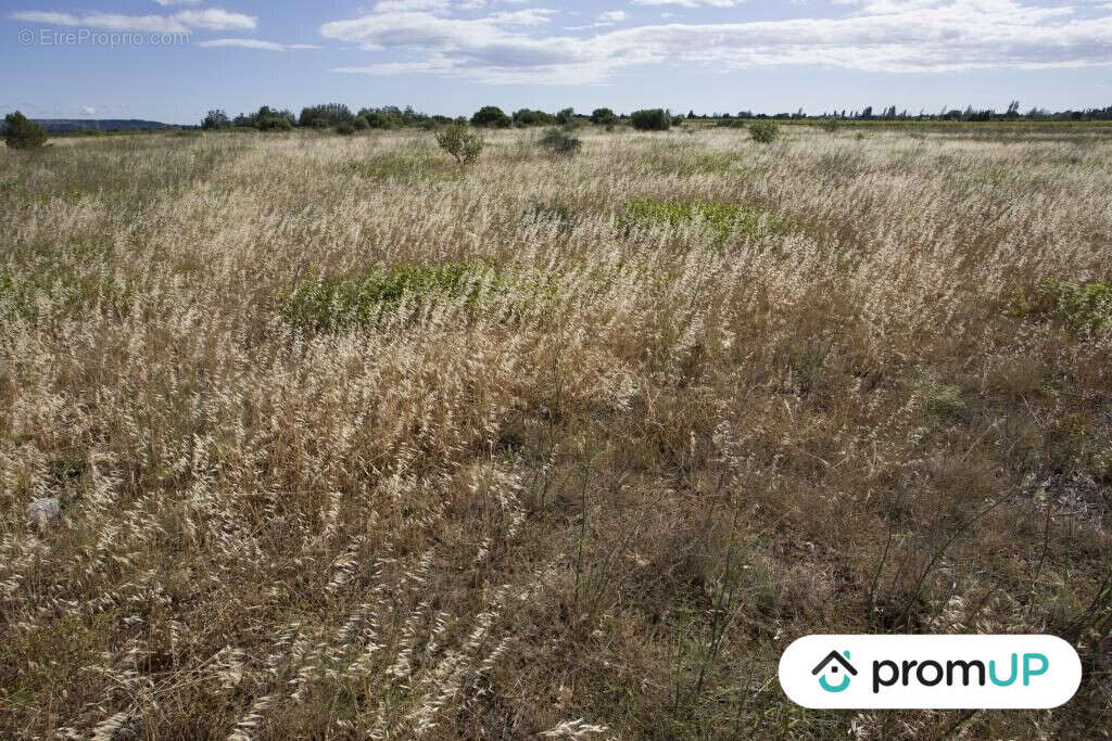 Terrain à SAINT-HIPPOLYTE