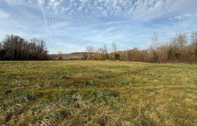Terrain à FAVEROLLES-ET-COEMY
