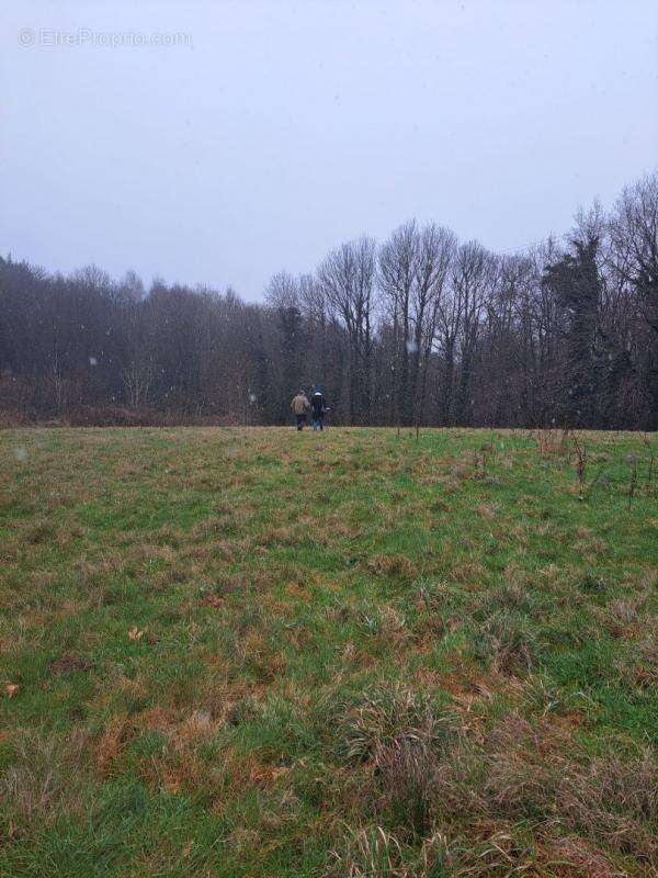 Terrain à SAINT-SORNIN-LAVOLPS