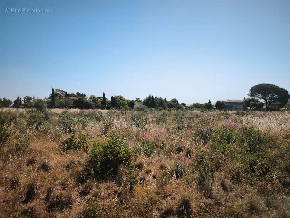 Terrain à CUERS