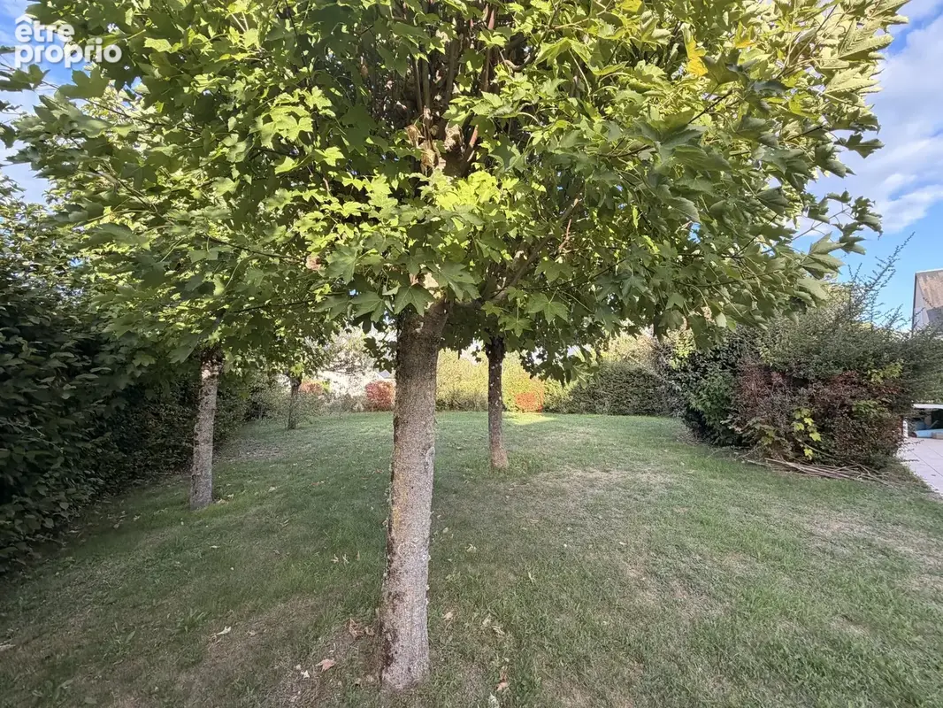 Maison 8 pièces 175 m² à vendre à Ballan-Mire (37510) - photo 2