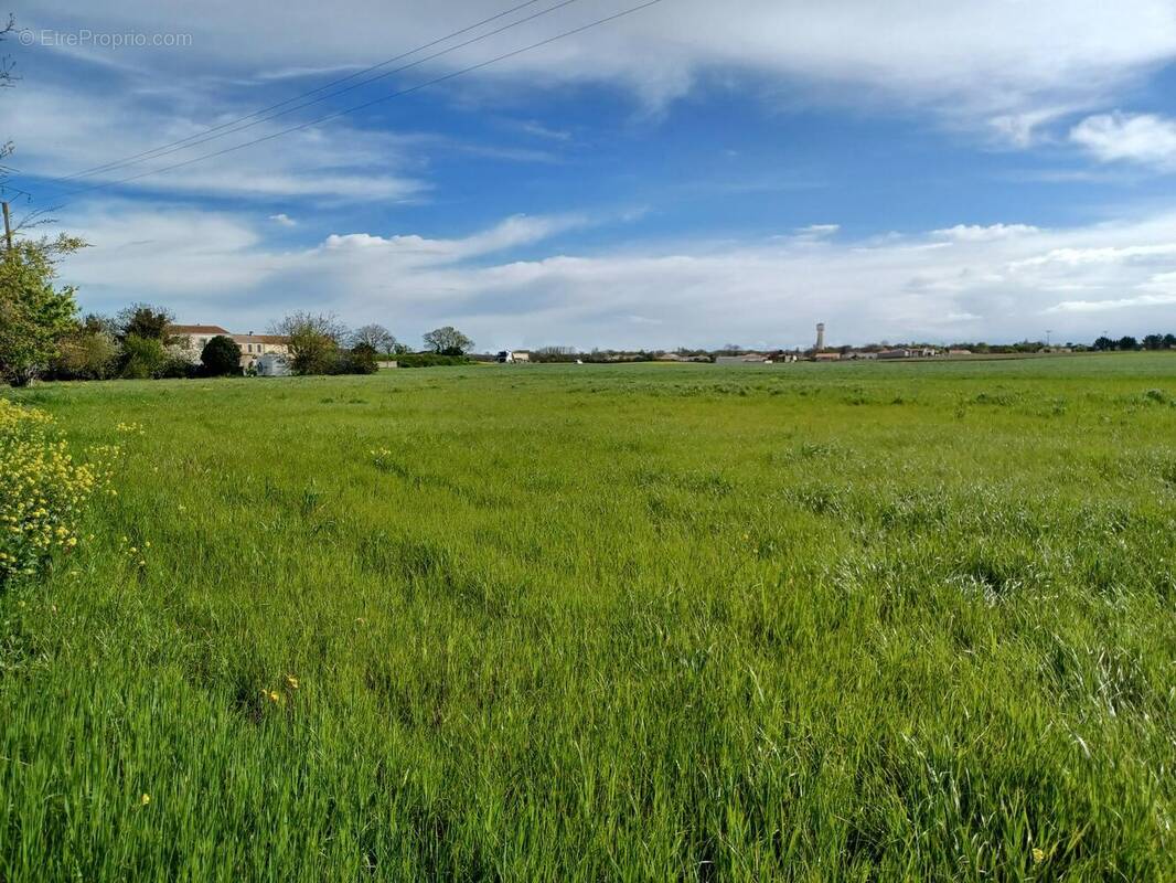 Terrain à LA ROCHELLE